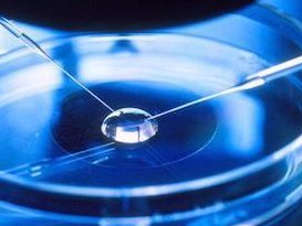 湛江第三代试管婴儿费用详解，哪些医院值得信赖？