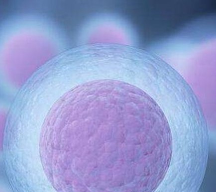 过了30岁做试管婴儿，关注这些比关注成功率更重要！