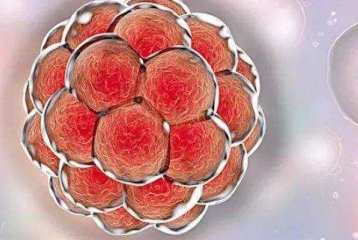 在上海医院做胚胎移植成功，会出现什么明显的感觉？